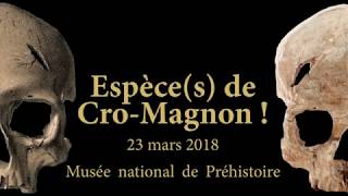 Espèces de Cro magnon   Tableronde participative [upl. by Suirad914]