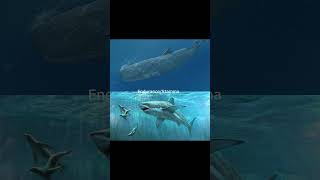 Otodus Chubutensis vs Physetodon apexpredator shark paleontology science whale animals facts [upl. by Imak503]