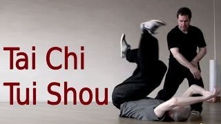 Tai Chi Tui Shou Training 太极推手教学 [upl. by Anama]