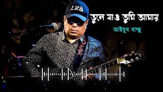 ভুলে যাও কত সহজে  Vule Jao Koto Sohoje Lyrics  LRB  Band Music  Mr Arzu 20 [upl. by Maribeth]