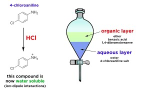 Separating Components of a Mixture by Extraction [upl. by Ymer]