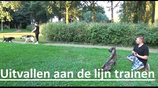 Dog School Uitvallen naar andere honden eruit trainen [upl. by Akiram]