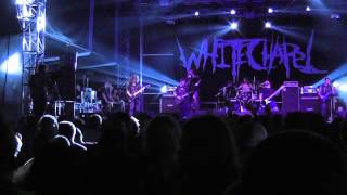 Whitechapel LIVE I Dementia  Brutal Assault Czech Republic 2013 [upl. by Laertnom]