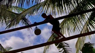 Coconut Farming in the Philippines From Tuba to Lambanog the Poor Mans Liquor [upl. by Kristopher]