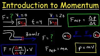 Introduction to Momentum Force Newtons Second Law Conservation of Linear Momentum Physics [upl. by Hizar]