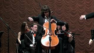 R Schumann  Cello concerto [upl. by Enitsyrk435]