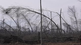 A look at tornado damage in Williamston [upl. by Suirauqed]