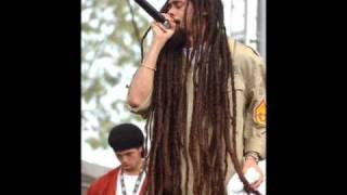 Damian Marley welcome to jamrock [upl. by Muns252]