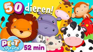 Pretlettertjes • Alle 50 Dierengeluiden • 52 min Special • Voor Baby Dreumes en Peuter • Nederlands [upl. by Bea268]