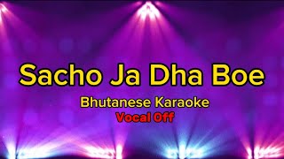 Sachog Ja Dha Boe  Bhutanese Karaoke  Vocal Off [upl. by Oswald649]