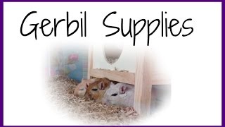 Gerbil Supplies amp What You Need [upl. by Llenreb458]