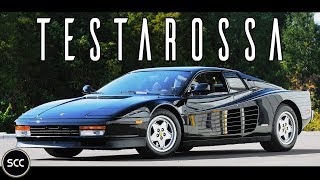 FERRARI TESTAROSSA 1991  Test drive in top gear  FLAT V12 Engine sound  SCC TV [upl. by Picco675]