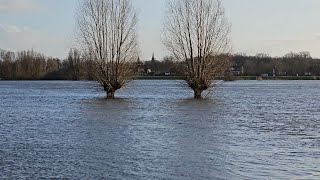 🎞️HOOGWATER IJSSEL code ORANJE 2023 [upl. by Enelia]