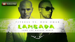 Lambada  Pitbull vs Don Omar Lonelez Remix [upl. by Innad39]