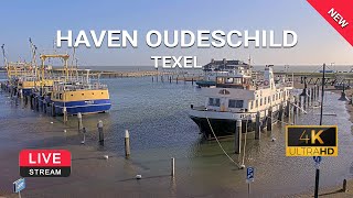 Haven Oudeschild Texel  webcam live 4K  TexelinformatieNL [upl. by Boote]