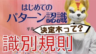 【機械学習】識別規則の種類（初めてのパターン認識解説）【はじパタ】 [upl. by Daffodil]