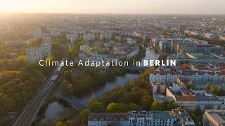 TRAILER  The Nature Conservancy Climate Adaptation Plan for Berlin [upl. by Branen]