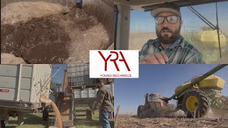 Treating Wheat With Johnson Su Compost [upl. by Mackoff228]