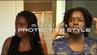 my experience with cuban twists over locs  takedown and maintenance [upl. by Conlee]