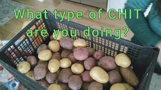 Starting Potatoes and Sweet Potatoes [upl. by Aneelahs]