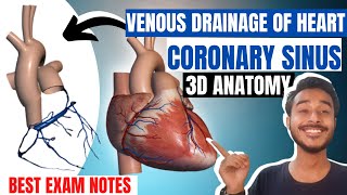 Venous drainage of heart anatomy  Coronary sinus anatomy  Coronary veins of heart anatomy [upl. by Hamnet]