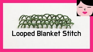 STITCH DICTIONARY  looped blanket stitch 루프드 블랭킷 스티치 프랑스자수 [upl. by Atterual]