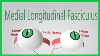 Medial Longitudinal Fasciculus Made Ridiculously Simple [upl. by Crifasi]