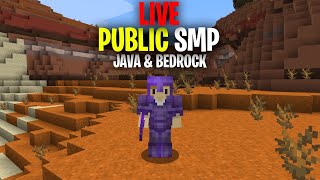 Public Minecraft SMP Server for Java amp Bedrock LIVE 117 Free to Join [upl. by Iborian]