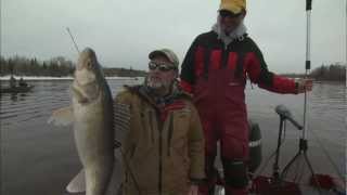 Three Way Rig Crankbait selection for Cold Water Walleye [upl. by Bandur625]