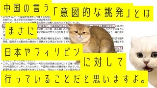 自衛隊の艦船が中国領海を航行！「意図的な挑発」とは？ [upl. by Yajet]