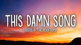 Pecos amp The Rooftops  This Damn Song Lyrics  1 Hour Version [upl. by Elane]