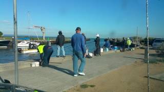 Fishing mordialloc creek [upl. by Joshi]