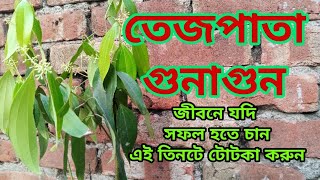 তেজপাতার গুনাগুন ও টোটকা [upl. by Tarrsus196]