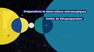 Préparations amp observations microscopiques  Atelier de lithopréparation [upl. by Ahsinauq]