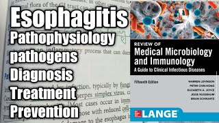 Esophagitis in Urdu ampHindi Gastrointestinal tract Infection [upl. by Stace881]