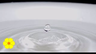 Single Drop of Water Falls in a Bucket  Water Drops  Water Dripping Slowly in a Tub  Relax Sounds [upl. by Crichton]