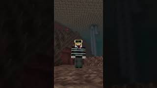 NOOB TO PRO  MINECRAFT SHORTS  PART 55 [upl. by Bruis]