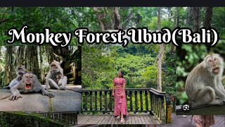 Monkey forest Ubud Bali 🐒🇮🇩 Things to do in bali Tourist places in bali and ubud  Bali itinerary [upl. by Eecrad920]