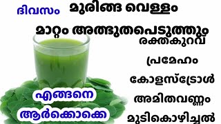 ശരിക്കും അത്ഭുത മരുന്ന് തന്നെ moringa super foodmoringahealthbenefitsmoringa powder benefits [upl. by Norved177]