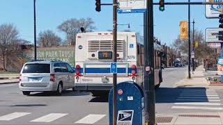 CTA New Flyer D40LF on Route 79 1278 short [upl. by Ahsirahc624]