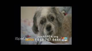 ASPCA TV Commercial For If Animals Could Speak [upl. by Chesney]