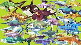 Hungry Shark Evolution Ep 4  Surf Sharks [upl. by Aidiruy20]