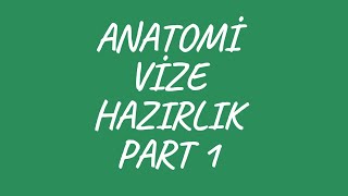 ANATOMİ VİZE HAZIRLIK SORULARI PART 1 anatomi vize [upl. by Winchell]