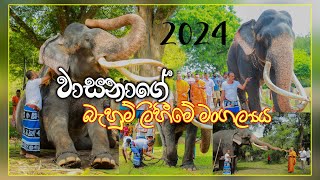 වාසනාගේ බැහුම් ලිහීමේ මංගල්‍යය 2024 kataragamawasana wasana [upl. by Malanie116]