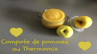 Compote de pommes thermomix [upl. by Nomelihp578]