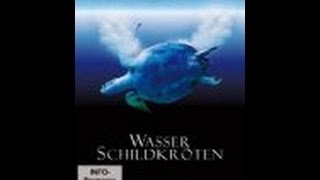 Wasserschildkröten  Lebensraum und Artenschutz  Film [upl. by Lettie729]