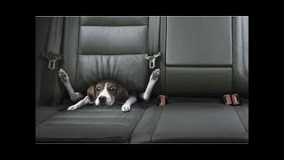 Best Car Commercials Ever  Greatest Car Ads All Time  The Used Car Guy [upl. by Sergias616]