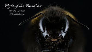 Flight Of The Bumblebee Techno Remix 2018 Rimsky Korsakov [upl. by Mayyahk]