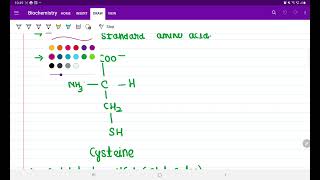 selenocysteine aminoacids biochemistry molecularbiology [upl. by Olivier]