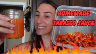 From Garden to Saucepan Homemade Tabasco Pepper Hot Sauce Recipe [upl. by Koby]